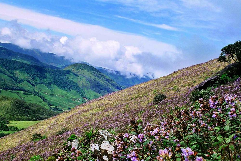 Hill Stations in South India