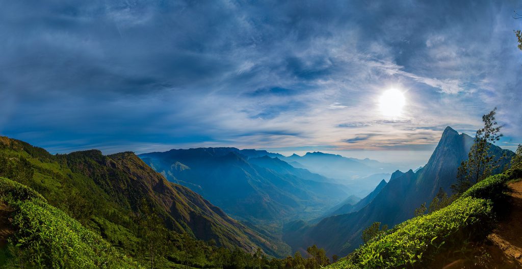 Kolukkumalai Estate